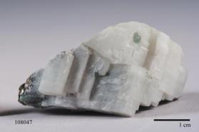 FLUORAPATITE