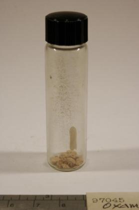 guanapite