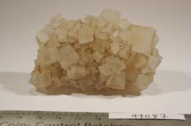 Halite