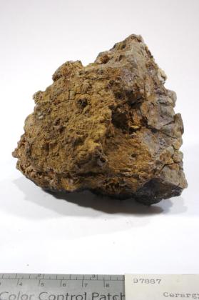 cerargyrite