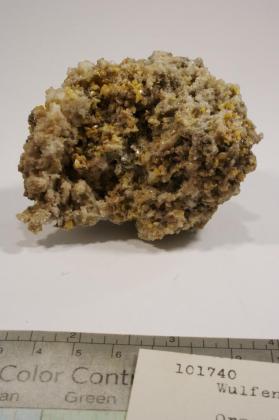 Wulfenite