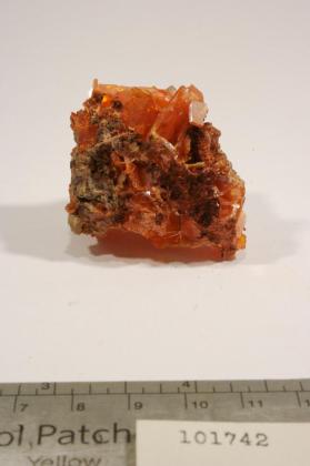 Wulfenite