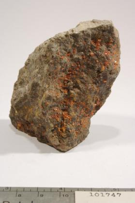 Wulfenite