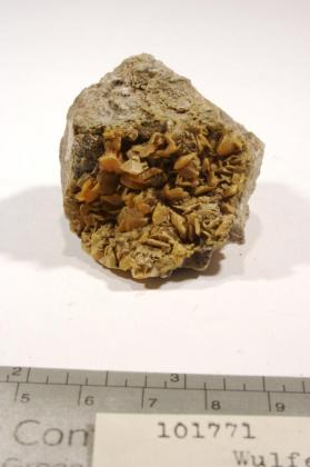 Wulfenite