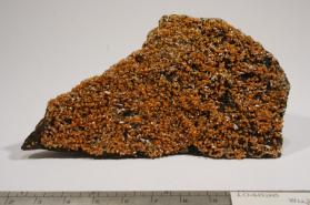 Wulfenite