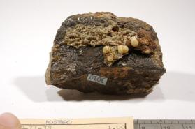 Gibbsite