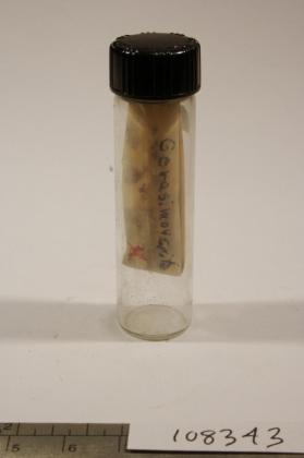 Gerasimovskite