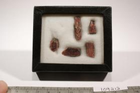 Tantalite-(Mn)