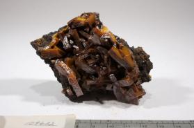 Wulfenite