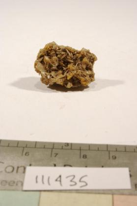 Wulfenite