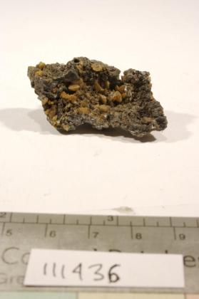 Wulfenite