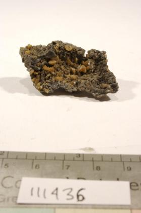 Wulfenite