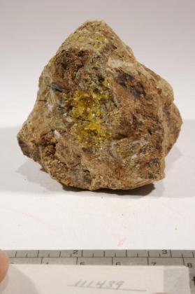 Wulfenite