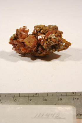 Wulfenite