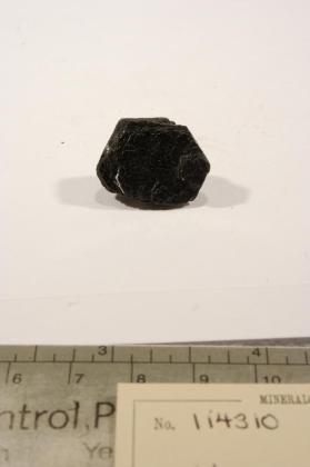 Hibonite