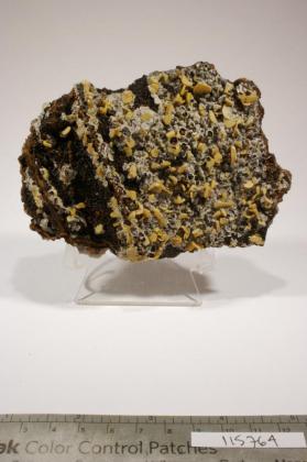 Wulfenite