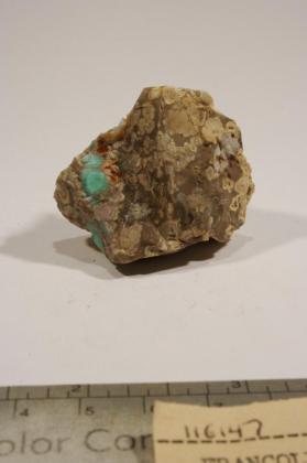 francolite with Unknown and Variscite