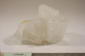 Powellite with Apophyllite