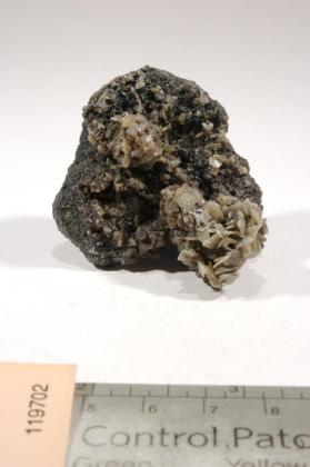 Stolzite