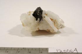 CASSITERITE