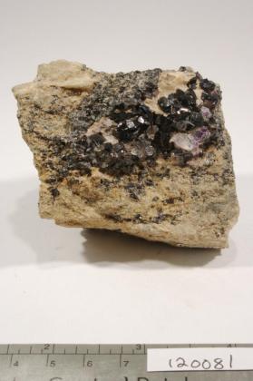 CASSITERITE