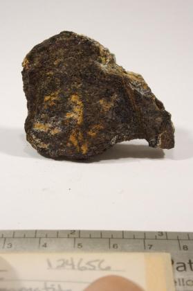 Bermanite