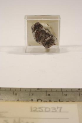 Bermanite