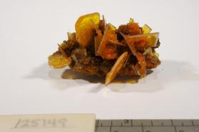 Wulfenite