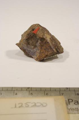 Bermanite