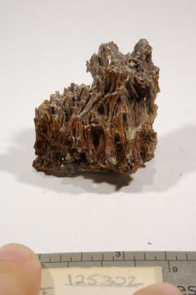 Pyromorphite