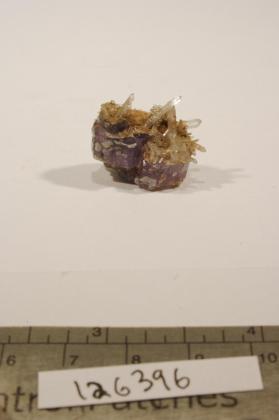 FLUORAPATITE