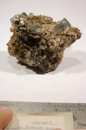 FLUORAPATITE with Arsenopyrite and Siderite and Zinnwaldite