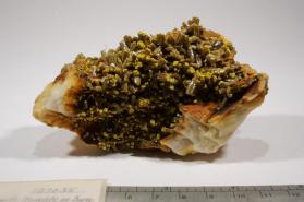 Pyromorphite with BARITE and Mimetite