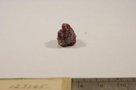 ruby with Dravite