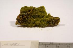 Pyromorphite