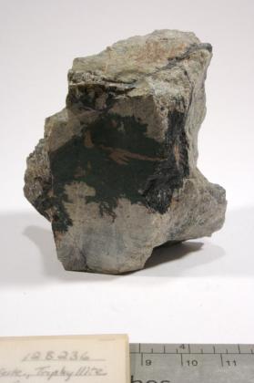 Hagendorfite with Triphylite