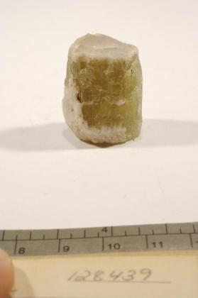 FLUORAPATITE