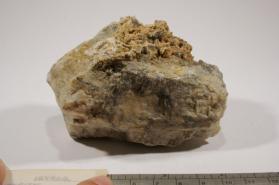 FLUORAPATITE