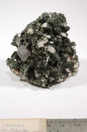 FLUORAPATITE