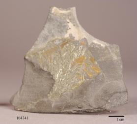 Pyrite