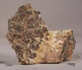 WILLEMITE with CALCITE and Franklinite and Pyrochroite and Sussexite and ZINCITE