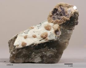 Lepidolite