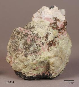 Leucophoenicite