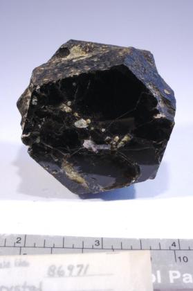 Biotite