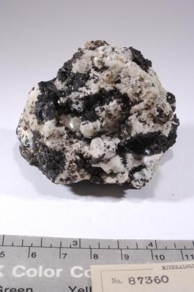 Hornblende