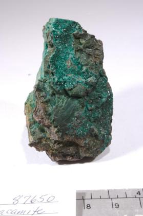 CHRYSOCOLLA with Atacamite