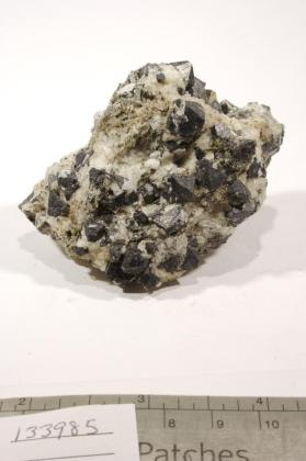 Perovskite with Hydroxylapatite and Magnetite and Phlogopite