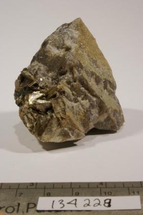 Columbite-(Fe) with Muscovite and Quartz