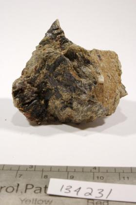 Columbite-(Fe) with Muscovite