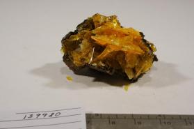 Wulfenite